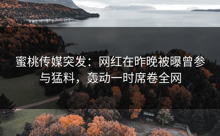 蜜桃传媒突发：网红在昨晚被曝曾参与猛料，轰动一时席卷全网