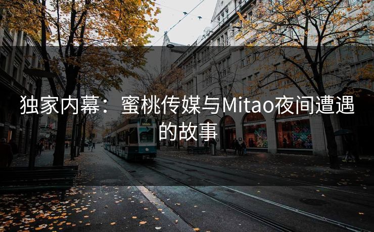 独家内幕：蜜桃传媒与Mitao夜间遭遇的故事