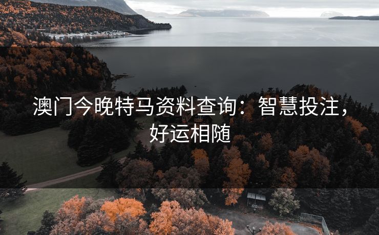 澳门今晚特马资料查询：智慧投注，好运相随